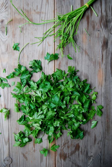 Parsley | eat in my kitchen Freeze Parsley, Parsley Health, Parsley Photography, Flat Leaf Parsley Plant, Microgreens Food Photography, Best Roasted Vegetables, Ingredients Photography, Vegetables Photography, Summer Salads With Fruit