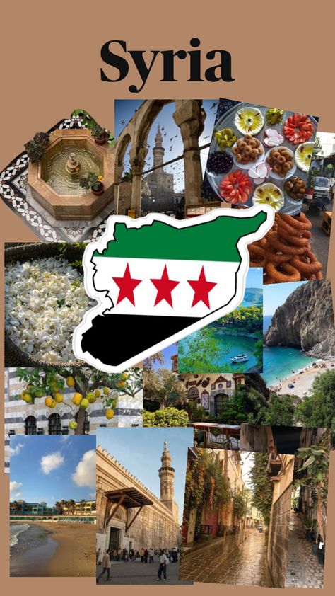 A little taste of syria Syria Revolution, Syria Aesthetic, Syrian Aesthetic, Syrian Culture, Arab Vibes, Syria Flag, Aesthetic Views, Lemon Trees, Missing Home