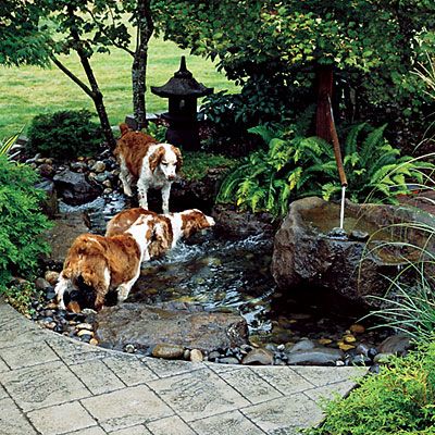 I would like something like this in my backyard for my water-loving dog. Small and shallow and secluded and relaxing. To dip my toes in, too. Dog Friendly Garden, Dog Friendly Backyard, Dog Backyard, Dog Yard, Water Features In The Garden, Have Inspiration, Ponds Backyard, Dream Backyard, Cool Ideas