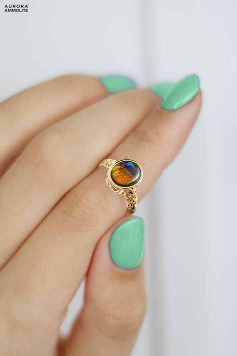 Special gifts come in small jewelry boxes. Message us and start shopping for our unique gifts 🛍️⁠ Ammolite Ring, Ammolite Jewelry, Small Jewelry Box, October 31, 14k Gold Ring, Gold Collection, Small Jewelry, Jewelry Boxes, Gold Ring