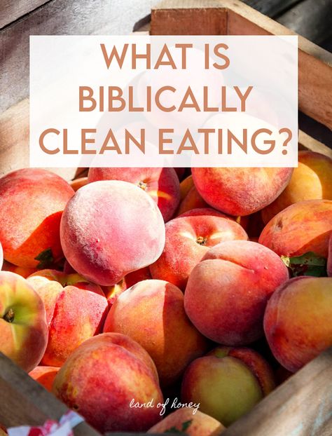 Biblically Clean Food, Biblical Diet Plan, Biblically Clean Recipes, Biblical Diet For Women, Eating Biblically Clean, Biblical Food List, Bible Foods To Eat, Biblical Cooking, Biblical Fasting Plan