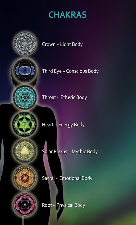 Seven Chakras | Mandala Chakra Mandala Chakra, Feeling Alive, Energy Consciousness, Chakra Health, Chakra Activation, Sensory System, Jyotish Astrology, Reflexology Chart, Sacred Science