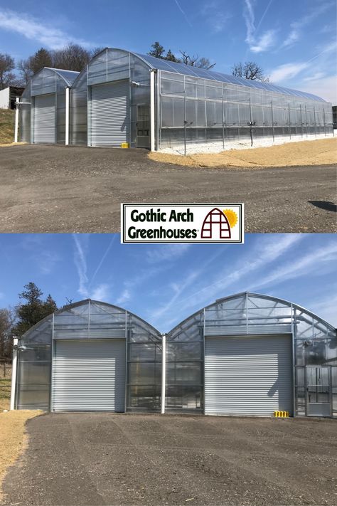 Commercial Greenhouse Design, Commercial Greenhouse Ideas, Regenative Agriculture, Veggie Farm, Greenhouse Build, Underground Greenhouse, Commercial Greenhouse, Indoor Farming, Gothic Arch