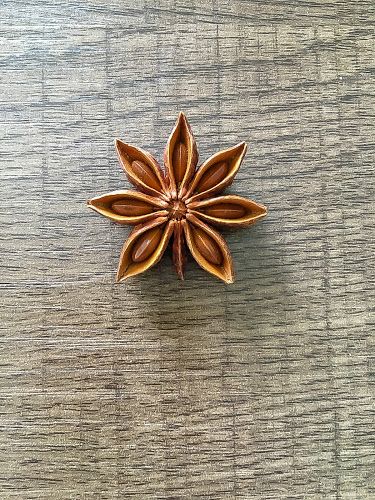 Star Anise Drawing, Food Allergy Symptoms, Chinese Star, Anise Seed, Textile Inspiration, Herbal Plants, Herbal Healing, Dry Flowers, Allergy Symptoms