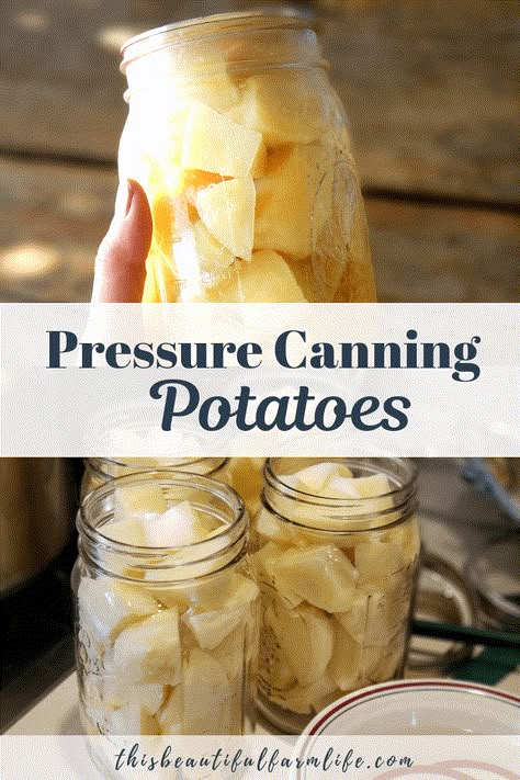 Pressure Canning Potatoes - this beautiful farm life Quick Potato Soup, Can Potatoes, Canning Potatoes, Canning Granny, Pressure Canning Recipes, Canned Potatoes, Canning Vegetables, Soup Appetizers, Canning Tips