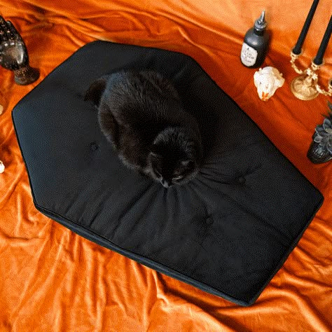 Critter Coffin - Coffin Shaped Memory Foam Pet Bed for Dogs & Cats Goth Pet Accessories, Goth Minimalist Home, Coffin Cat Bed, Cat Apartment Ideas, Kitty Closet, Cat Diy Projects, Apartment Cat Ideas, Goth Bed, Gifts For Cats