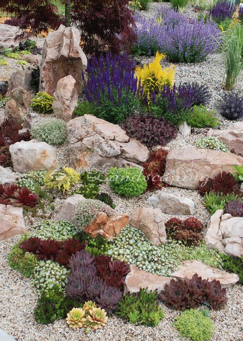 Succulent rock garden with Chick Charms & Sunsparkler Sedums - www.chickcharms.net www.sunsparklersedums.com Tiny Rock Garden, Landscaping With Flat Rocks, Rock Garden Patio Ideas, Succulents Rock Garden, Rock Pile Garden, Vertical Rock Garden, Rockery Garden Ideas Uk, Rock Outcropping Landscaping, Rock Garden With Succulents