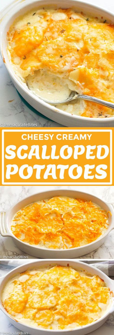 Easy Cheesy Potatoes, Scalloped Potatoes With Bacon, Au Gratin Potatoes Easy, Creamy Casserole, Gross Stuff, Creamy Scalloped Potatoes, Scalloped Potatoes Easy, Scalloped Potatoes And Ham, Potatoes Easy