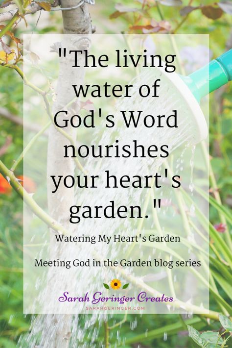 The living water of God's Word nourishes your heart's garden. #spiritualgrowth #gardening #intentionalliving #encouragement Gardening Quotes Inspirational, Plant Classroom, Biblical Garden, Bible Garden, Christian Woman Encouragement, Christian Quotes About Life, Spiritual Garden, Gardening Quotes, Prayer Garden