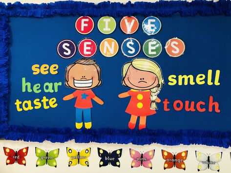 Five Senses Bulletin Board Preschool, Senses Bulletin Board Ideas, 5 Senses Bulletin Board Ideas, Five Senses Bulletin Board, Science Bulletin Boards Preschool, Infant Sensory, Five Senses Preschool, Bulletin Ideas, Science Bulletin Boards