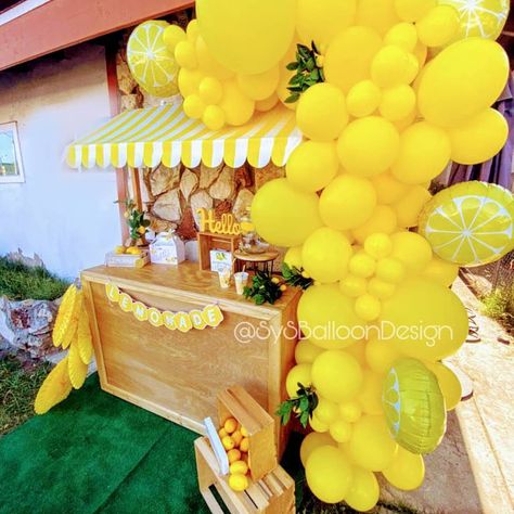 Lemonade Booth Design, Lemonade Stand Gender Reveal, Lemonade Stand First Birthday, Lemon Backdrop Photo Booths, Lemonade Stand Ideas, Lemon Ade Stand, Pink Lemonade Birthday Party Backdrop, Event Rental Business, Kids Lemonade Stands