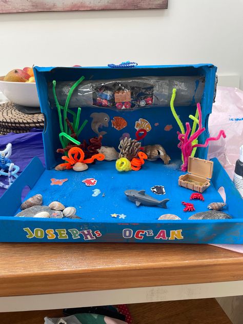 Ocean Shoe Box Project, Sea Turtle Habitat Project For Kids, Ocean Biome, Shoebox Crafts, Shoe Box Diorama, Biome Project, Turtle Project, Habitat Project, Channel Tunnel