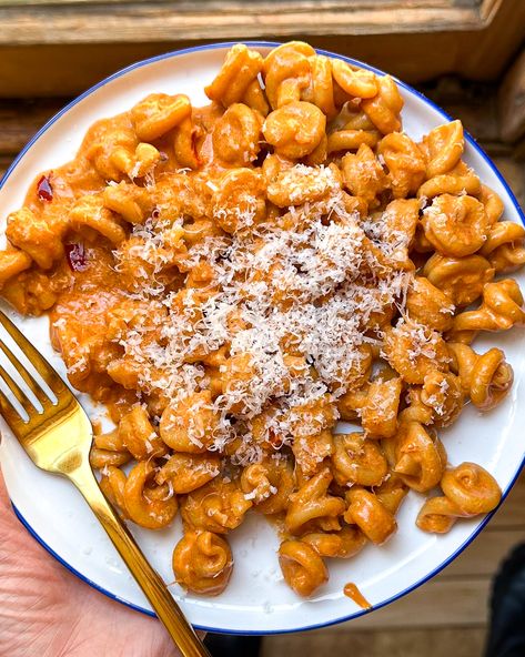 Pasta alla Mezcal Leek Pasta, Pasta Alla Vodka, Goat Cheese Pasta, Creamy Mushroom Pasta, Cherry Tomato Pasta, Alla Vodka, Vodka Sauce, Pasta Dinners, Creamy Mushrooms