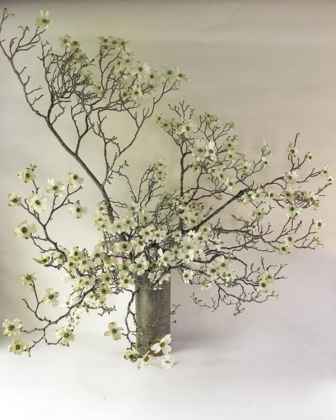 Branch Arrangements Wedding, Branches Flower Arrangement, Dogwood Wedding Flowers, Dogwood Flower Bouquet, Tall Branches In Vase, Dogwood Arrangement, Branch Floral Arrangements, Branch Wedding Decor, Tall Vase Flower Arrangements