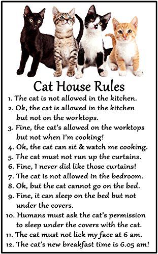 Fridge Magnets Cat Lover Gift - Cat House Rules - Large F... https://www.amazon.co.uk/dp/B07956HNY5/ref=cm_sw_r_pi_dp_U_x_toWmDb8504MVK Katt Grejer, Kitten House, Cat Loss, Humor Quotes, Cat Signs, Cats Kittens, Cat Facts, House Rules, Cat Quotes