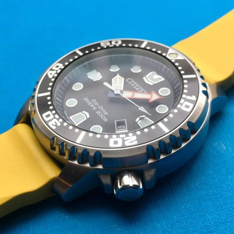 VERSUS: The Seiko Prospex Turtle takes on the Citizen Promaster Dive for entry-level underwater supremacy Seiko Turtle, Seiko Prospex, Divers Watch, Citizen Eco, Eco Drive, Mechanical Movement, Dive Watches, Mechanical Watch, Diver