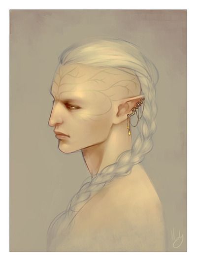 Snow Elf, Moon Elf, Elf Characters, Dragon Age Inquisition, Fantasy Inspiration, Dragon Age, Dnd Characters, Character Portraits, A Drawing