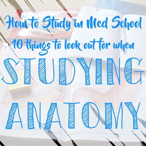 Tips On Studying, Mcat Study Tips, Studying Anatomy, Anatomy Tips, Med School Student, Med School Study, Nursing Study Tips, American Student, Study Blog