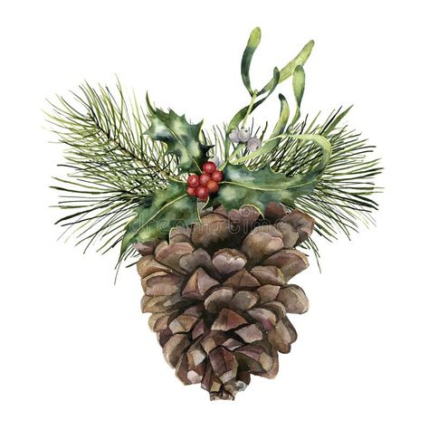 Pine Cone Christmas Tree, Pine Cone Art, Christmas Pine Cones, Christmas Plants, Christmas Tree Branches, Cone Christmas Trees, Christmas Card Art, With Christmas Tree, Watercolor Christmas Cards