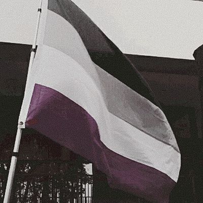 Demisexual Aesthetic, Aromantic Aesthetic, Aroace Aesthetic, Extraordinary Aesthetic, Asexual Aesthetic, Ace Aesthetic, Tori Spring, Asexual Flag, Spring Edit