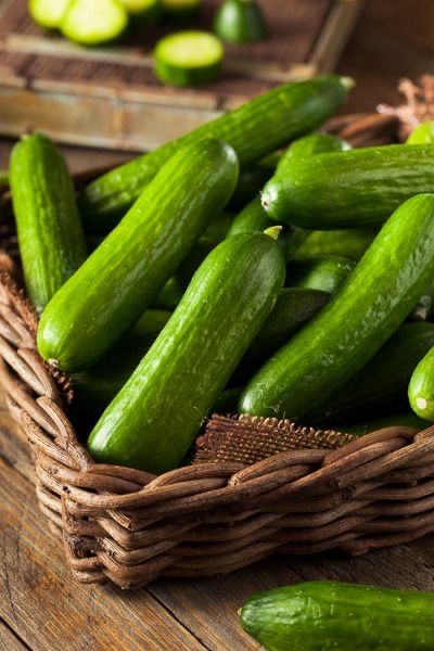 Food Photography Fruit, Companion Planting Vegetables, Vegetables Photography, Mini Cucumbers, Vegetable Illustration, Zucchini Bread Recipes, Healthy Fruits, Zucchini Recipes, Fresh Veggies