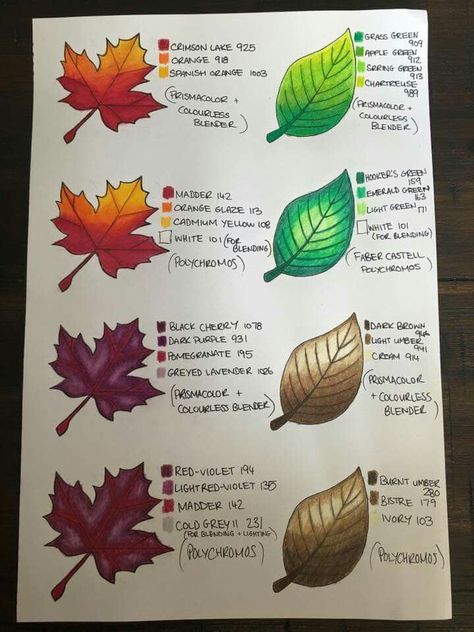 Hojas Prismacolor Leaf Color Combinations, Color Pencil Tutorial, Blending Colored Pencils, Seni Pastel, Colored Pencil Tutorial, Drawing Color, Coloring Tips, Coloring Inspiration, Colour Pencil