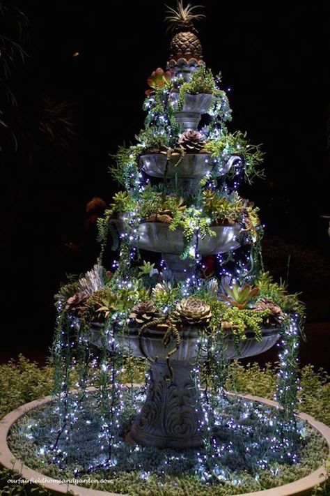 DIY succulent fountain - Fill a fountain with succulents and then put small white Christmas lights on top to make it look like glowing water. Beautiful idea! Taman Diy, Diy Outdoor Lighting, Fairy Garden Designs, Diy Yard, Cool Ideas, Camping Ideas, Succulents Diy, Garden Crafts, Succulents Garden