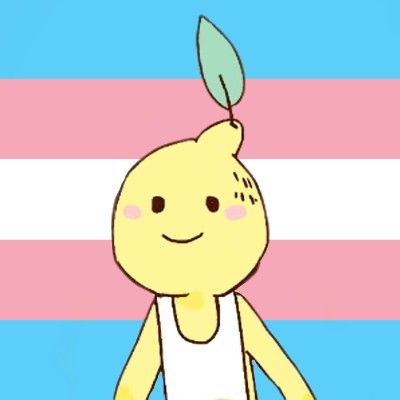 Lemon Boy, Transgender Flag, Not Mine, On Tumblr, Lemon, Flag, Tumblr