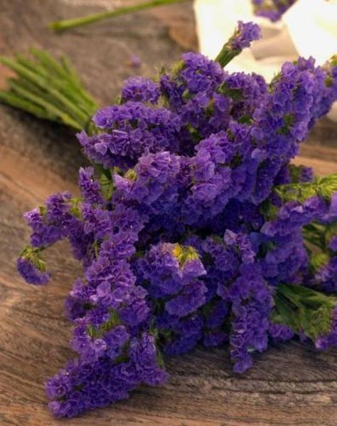 Purple Statice with Baby's Breath and White Peonies Limonium Flower, Purple Statice, Plant Spacing, Annual Flowers, Peat Moss, Drought Tolerant, Flower Seeds, Cut Flowers, Garden Seeds