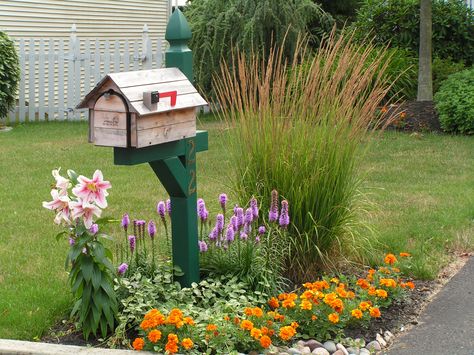 This little garden has perennials, annuals and ornamental grass. Mailbox Gardens, Mailbox Landscaping Ideas, Mailbox Stand, Mailbox Garden, Mailbox Makeover, Mailbox Landscaping, Landscaping Rock, Ornamental Grass, Gate Ideas