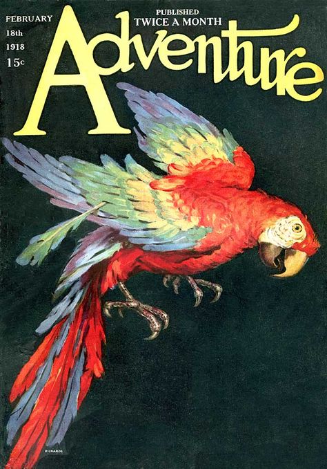 Kiwi's Angels: Parrots on Vintage Magazine American Covers - Cover art: Richards Macaw Illustration, Art Facts, Parrot Art, Adventure Magazine, Pulp Fiction Art, Vintage Parrot, Parrots Art, American Illustration, Pulp Art