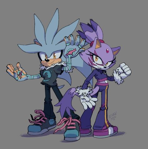 Silver And Blaze, Evan Stanley, How To Draw Sonic, Silver The Hedgehog, Sonic Fan Characters, Blue Hedgehog, Sonic Franchise, Sonic Adventure, Hedgehog Art