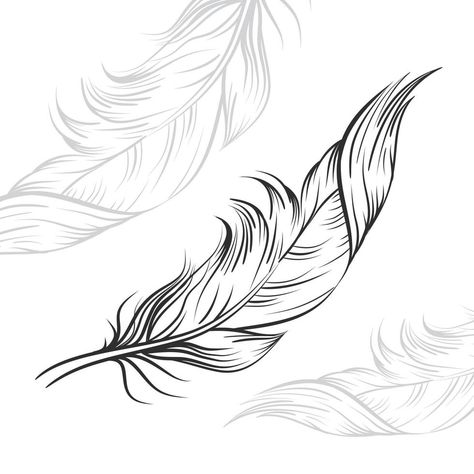 Feathers Drawing, White Background Drawing, Hair Feathers, Feather Drawing, Faith Tattoo, Drawing Black, Background Drawing, Feather Tattoos, Clipart Black And White