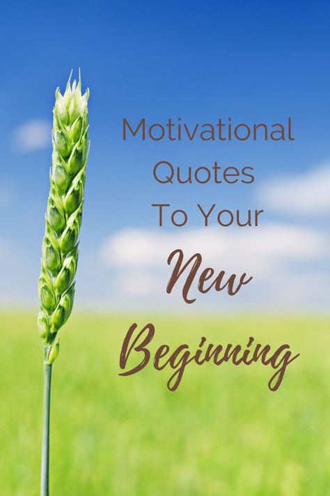 New Beginning Birthday Quotes, New Day New Beginning Quotes Fresh Start, A New Journey Begins Quotes, Motivational Quotes For Starting Over, Quotes On Beginning, Words For New Beginnings, Excited For New Beginnings Quotes, Inspirational Quotes About New Beginning, New Home Quotes Inspiration