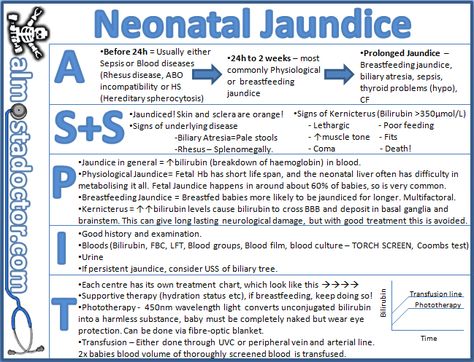 Neonatal Jaundice | almostadoctor.com - free medical student revision notes Nurse Pediatric, Nurse Nicu, Newborn Nursing, Midwifery Student, Student Midwife, Nursing Mnemonics, Neonatal Nurse, Nursing School Studying, Nursing School Tips