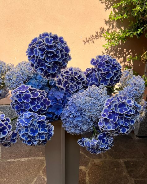 SHADE OF BLUE #hydrangeas #interiordecor #floralarrangement #windowdisplay #floraldesign #seasonalflowers #blue #blueaesthetic ♣️ #lafioristarockabilly #lacipriaeifiori #sfumaturedicipriaflowers ♣️ Dark Blue Flowers Wedding, Blue Floral Arrangements Wedding, Blue Hydrangea Arrangements, Deepavali 2024, Navy Blue Hydrangea, Purple And Blue Wedding, Dark Blue Hydrangea, Blue Purple Wedding, Christmas Arch