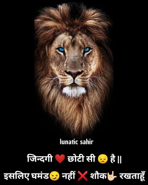 Jalne Wale Shayari, Haryanvi Shayari, Lion Attitude, Love You Cute, Photoshop Digital Background, Desktop Background Pictures, Best Friendship Quotes, Instagram Background, Hair Png