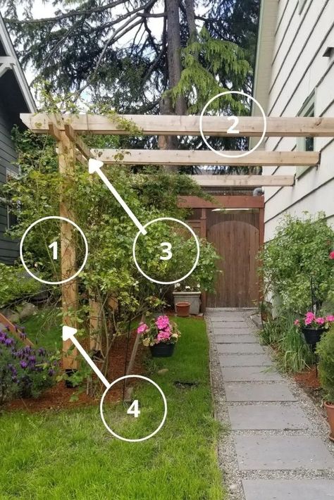 Covered Walkway Side Of House, Arbor Pathway, Side Yard Walkway, Gated Arbor, Outdoor Trellis Ideas, Yard Trellis, Rustic Trellis, Diy Arbour, Yard Walkway