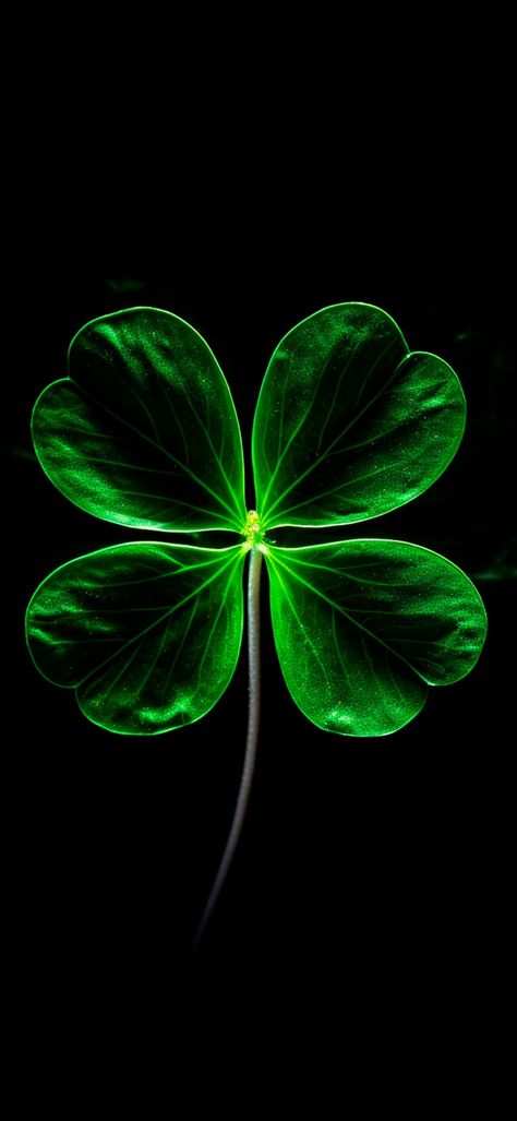 Lucky Leaf Wallpaper, Good Luck Wallpaper, Leaves Wallpaper Iphone, St Patricks Day Pictures, St Patricks Day Wallpaper, Lucky Art, Lucky Wallpaper, Expressions Photography, Lucky Leaf