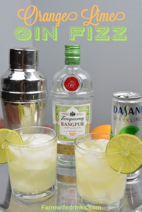 Orange-Lime Gin Fizz is a low-carb gin cocktail combining freshly squeezed lime and orange juices with Rangpur gin and lime sparkling water. #Gin #GinFizz #Tanqueray #Cocktail #Cocktails Gin And Sparkling Water, Low Carb Gin Drinks, Crazy Cocktails, Spiked Drinks, Best Gin Cocktails, Gin Fizz Cocktail, Classic Gin Cocktails, Picnic Potluck, Tanqueray Gin