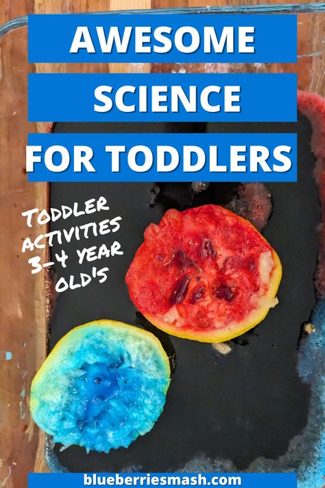 Watch your preschooler's curiosity and excitement erupt with these colorful lemon volcanoes! Awesome science activity for preschoolers, toddlers, and kids of all ages. Toddler Activities 3-4 year old's Science Activity For Preschoolers, Science For Preschoolers, Experiment For Preschoolers, Science Expirements, Using Lemons, Toddler Science Experiments, Science For Toddlers, Water Experiments, Activity For Preschoolers