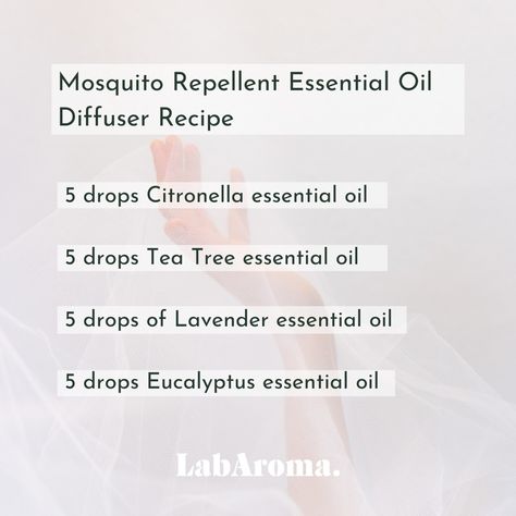 Essential Oils For Mosquito Repellent Diffuser, Mosquito Essential Oil Diffuser, Mosquito Diffuser Blend, Essential Oil Mosquito Repellent Recipes, Essential Oils For Mosquitoes, Essential Oil Mosquito Repellent, Pot Potpourri, Essential Oil Bug Repellent, Mosquito Repellent Essential Oils