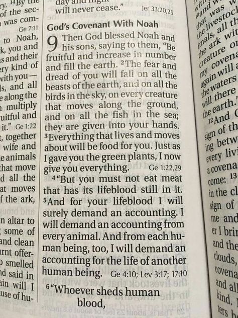 Christians Veg & Vegetarians Thou Shall Not Kill Thou Shall Not Kill, Bible Teachings, The Covenant, Bible