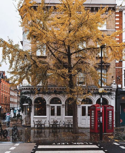 Fall Feels, Fall For You, Autumn Aesthetic, Pretty Places, London Uk, My Favourite, Autumn Leaves, Favorite Places, England