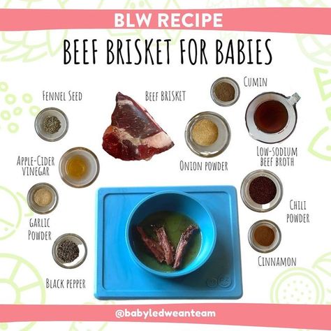 Baby-Led Weaning Support on Instagram: "BLW Beef Brisket Recipe: Sharing the full BLW Beef Recipe that Baby Sienna had on Day 4 of #babyledweaning 🐮 Baby Sienna is 6 months + 1 week here and it’s her first week of BLW. She just started sitting up on her own and I’m documenting her first 10 days of BLW on her way to #100firstfoods before turning 1 💯 If you go back 7 & 8 posts in feed, there’s tons more info about safely feeding babies beef brisket 📲 You can get my daily email with BLW food pr Beef Brisket Recipe, Brisket Recipe, Beef Brisket Recipes, Baby Led Weaning Recipes, Weaning Recipes, Brisket Recipes, Beef Recipe, Led Weaning, Beef Brisket