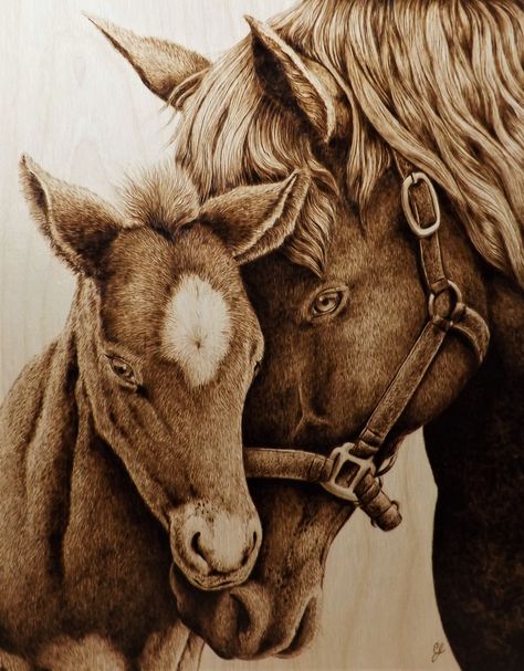 "Sweet Comfort" Mare and Foal (Horses) Pyrography/Woodburning by Cara Jordan Wood Burning Patterns Stencil, Wood Burn Designs, Woodburning Projects, Pyrography Art, Coffee Painting, Wood Burning Crafts, Wood Burning Patterns, Horse Portrait, Horse Drawing