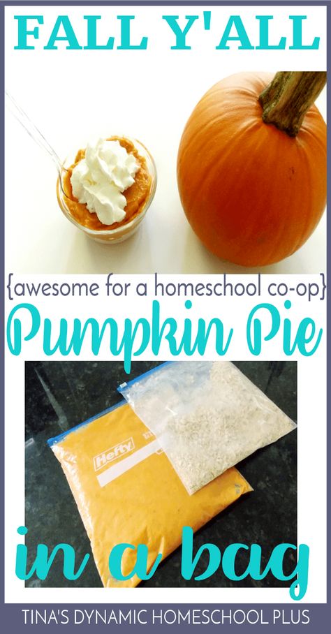 Pumpkin Snack Preschool, Group Baking Activities, Pumpkin Pie In A Bag, Pumpkin Pie In A Bag For Kids, Pumpkin Soup Activities For Kids, Fall Cooking Activities For Kids, Pumpkin Pie In A Cup For Kids, Pumpkin Pie Craft For Preschool, Homeschool Co Op Class Ideas