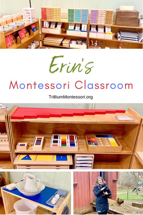 A Tour of Erin's Montessori Classroom Setup at Might Oaks Montessori in Asheville, NC Montessori Color Palette, Montessori Classroom Layout Preschool, Montessori Classroom Layout, Montessori Preschool Classroom, Montessori Elementary Classroom, Classroom Montessori, Elementary Montessori, Montessori Curriculum, Montessori Kindergarten