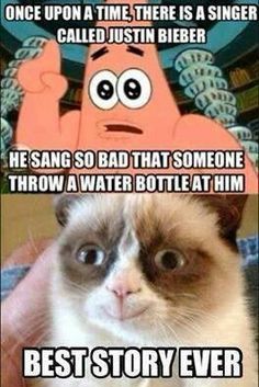 Grumpy Cat Memes, Grump Cat, Grumpy Cat Meme, Grumpy Cat Quotes, Cat Jokes, 9gag Funny, Cute Animal Memes, Meme Comics, Grumpy Cat Humor