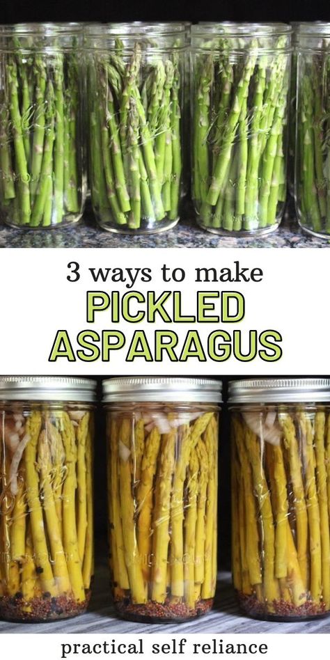 3 Ways to Make Pickled Asparagus! Pickled asparagus is a real treat during the spring season, and while asparagus season is short-lived, homemade asparagus pickles are delicious all year round. Picked Asparagus Recipe, Pickled Foods, Pickled Asparagus, Refrigerator Pickles, Salad Wraps, Pickled Veggies, Fresh Asparagus, Pickled Vegetables, Home Canning